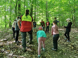 Waldspiele zur Teambildung